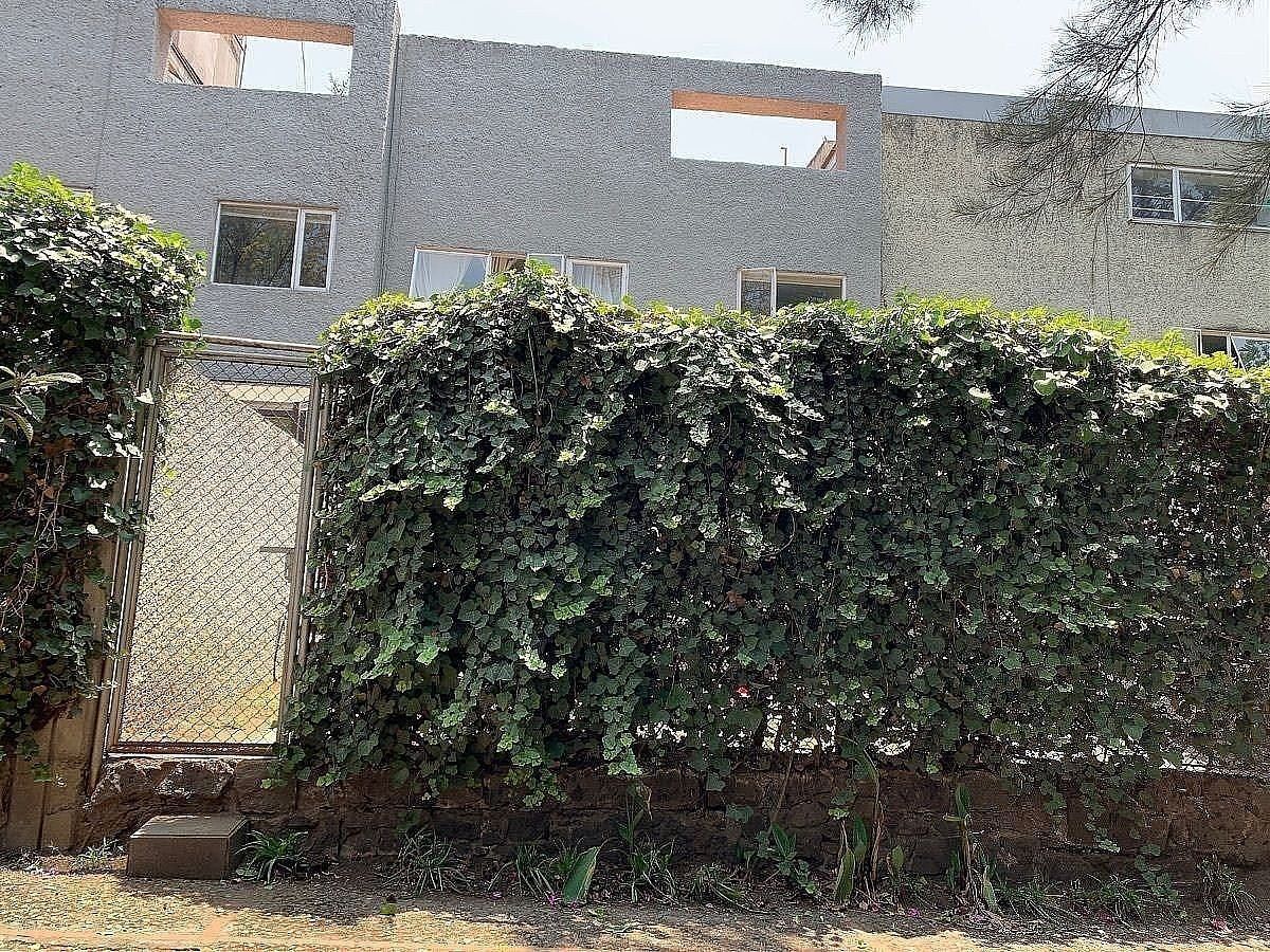 Casa en condominio en Lomas de San Ángel Inn, Álvaro Obregón, foto 13 de 13