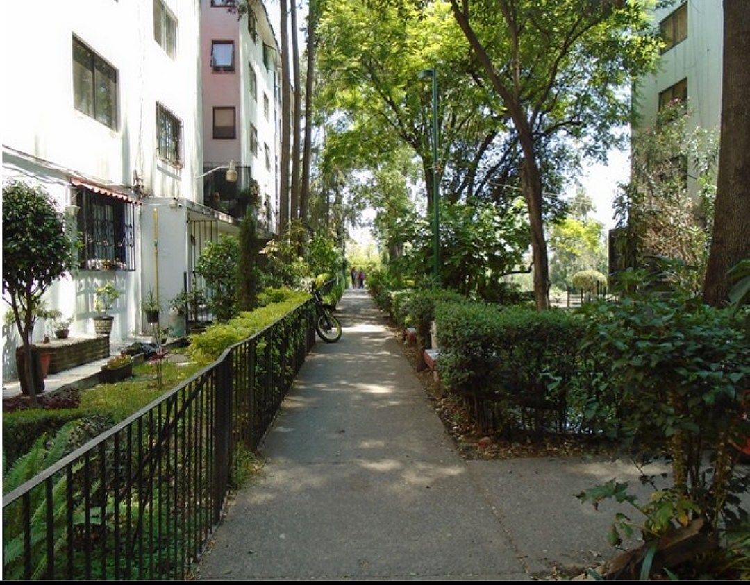 Lomas de Plateros departamento - foto 5