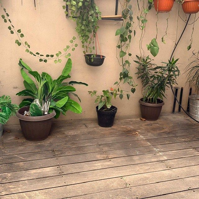 Apartment in Anzures, Miguel Hidalgo, photo 10 of 12