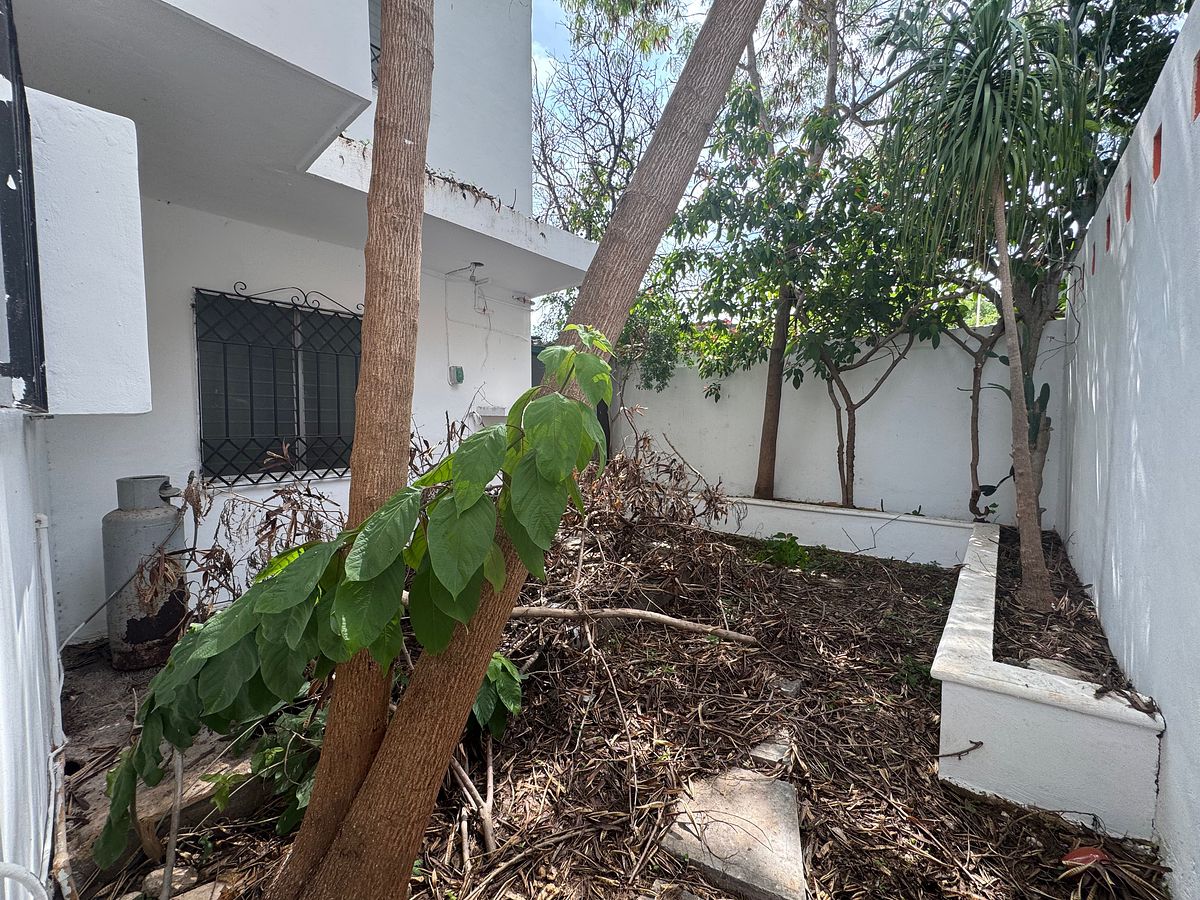 House in Mérida Centro, Mérida, photo 25 of 29