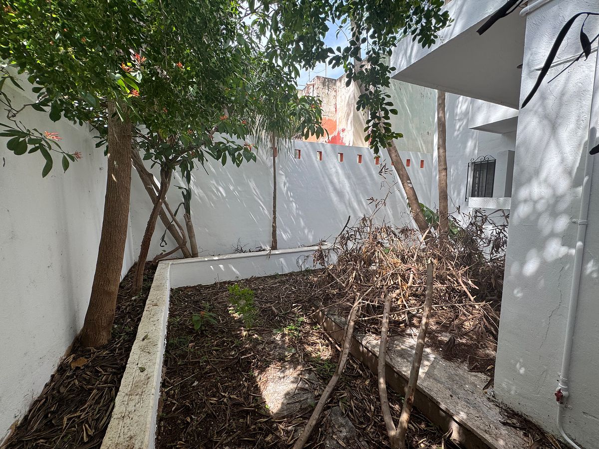 House in Mérida Centro, Mérida, photo 27 of 29