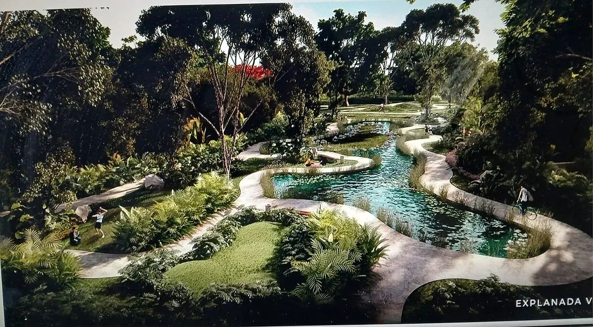 Terreno en Santa Gertrudis Copo, Mérida, foto 9 de 14
