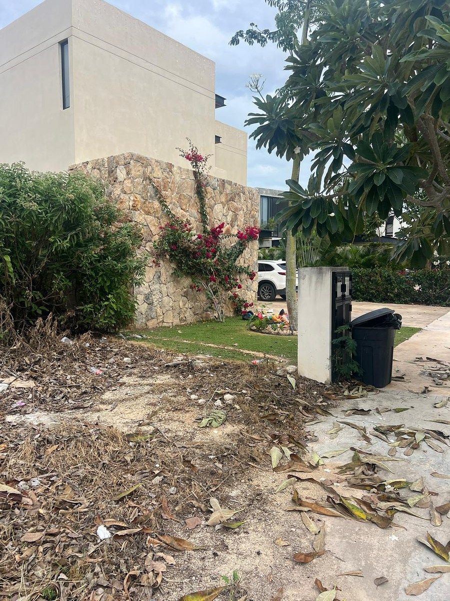 Lot in Komchen, Mérida, photo 8 of 16