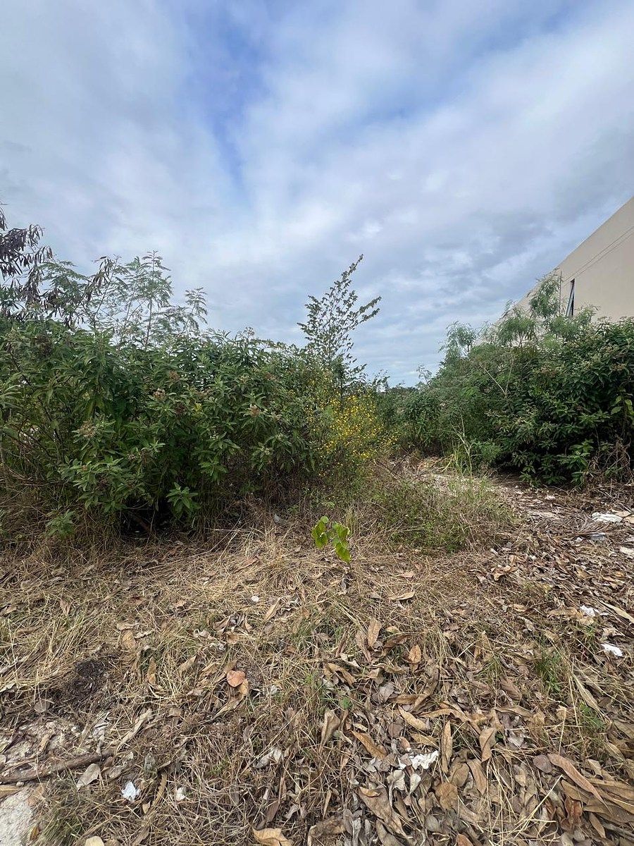 Lot in Komchen, Mérida, photo 9 of 16