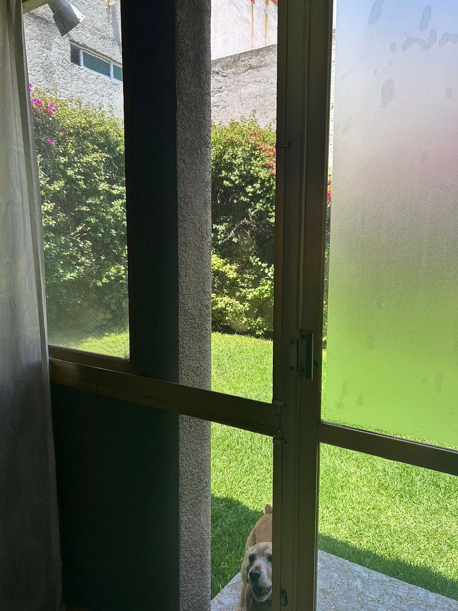 House in Vertiz Narvarte, Benito Juárez, photo 14 of 18