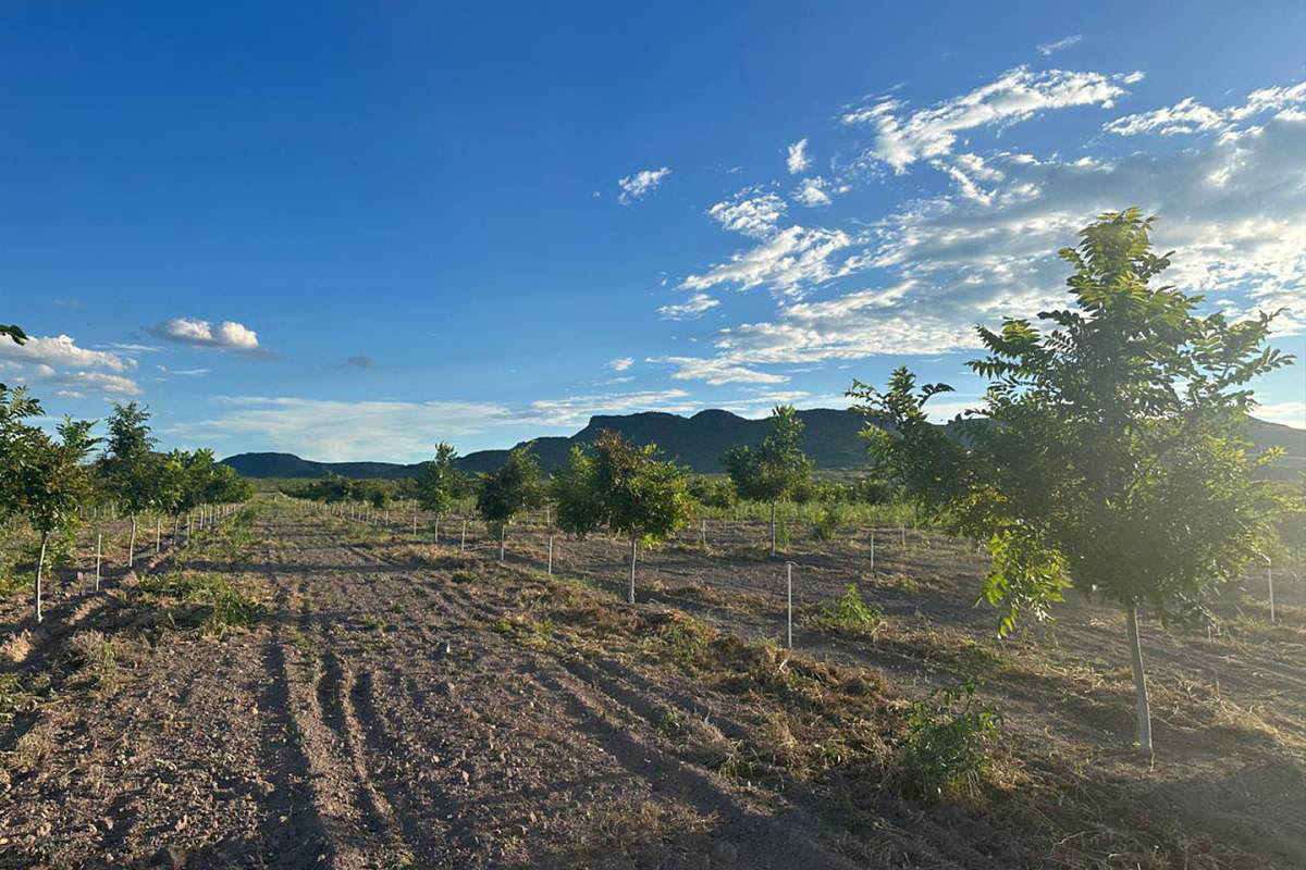 Rancho en Delicias, Delicias, foto 3 de 15