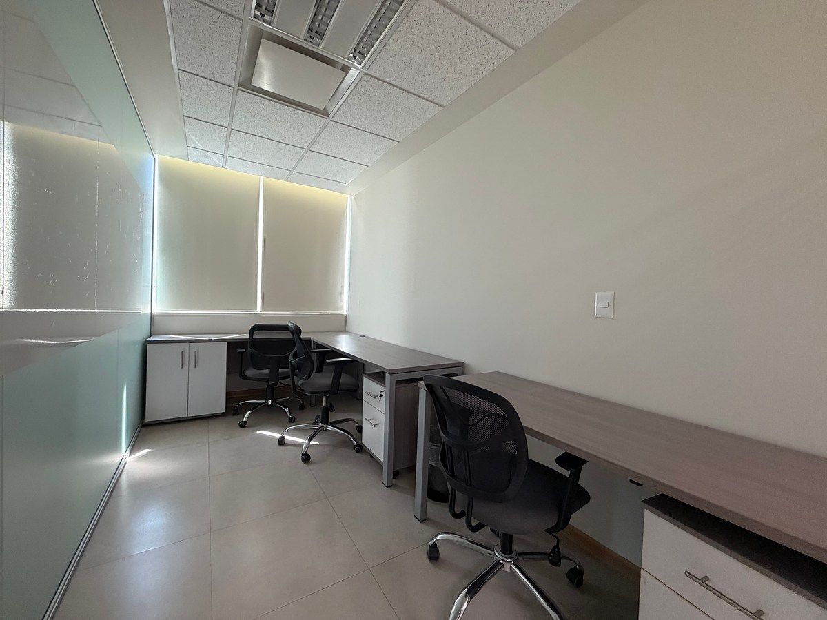 Office in Del Paseo Residencial, Monterrey, photo 6 of 13