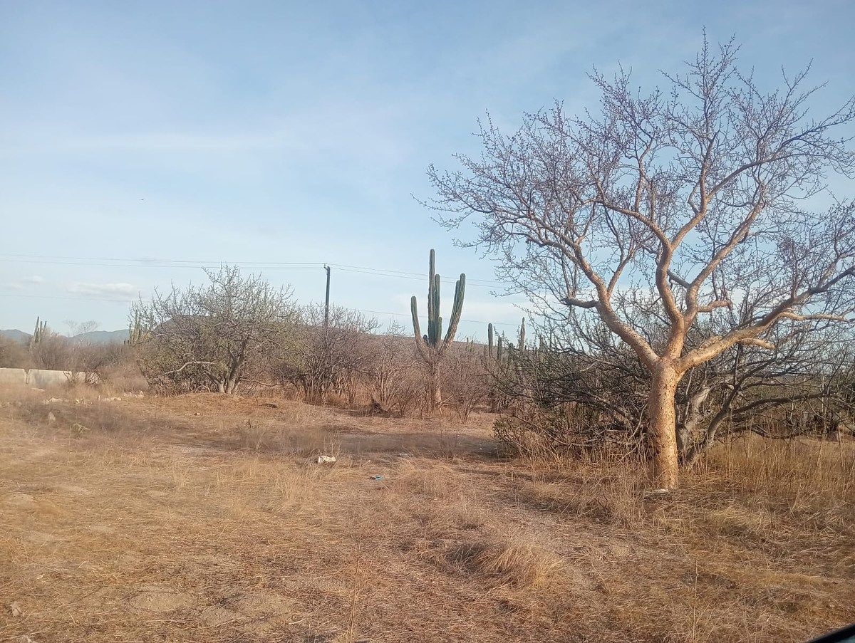 Land in Calafia, La Paz, photo 1 of 1