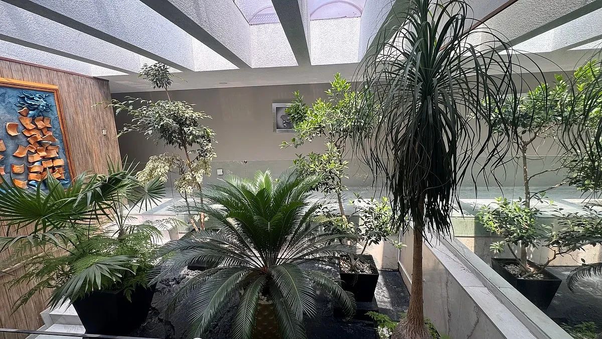 Casa en Jardines del Pedregal, Álvaro Obregón, foto 10 de 39