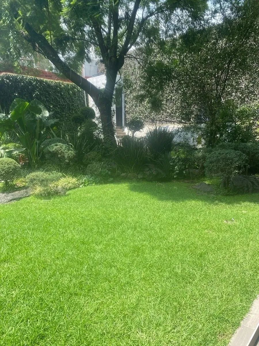 Casa en Jardines del Pedregal, Álvaro Obregón, foto 38 de 39