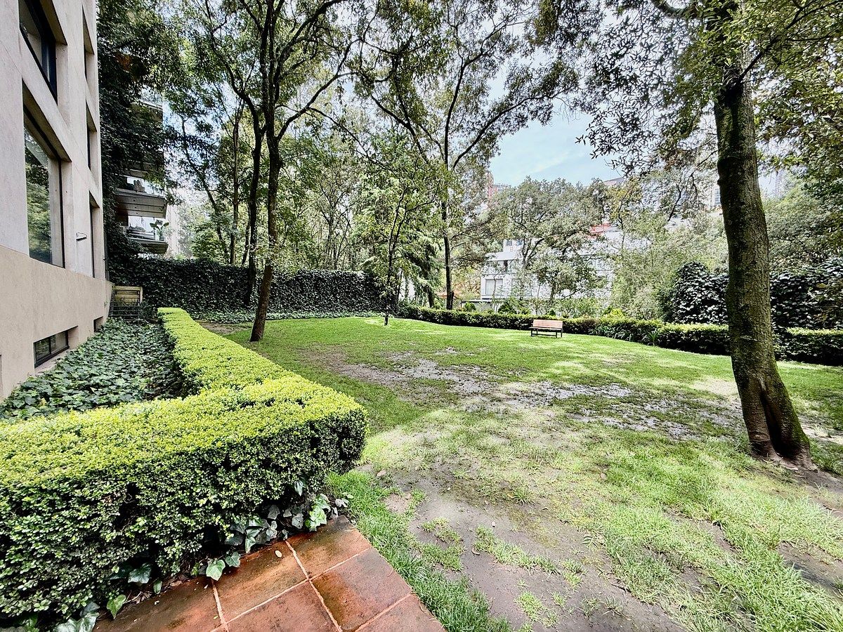 Jardin, foto 18 de 18