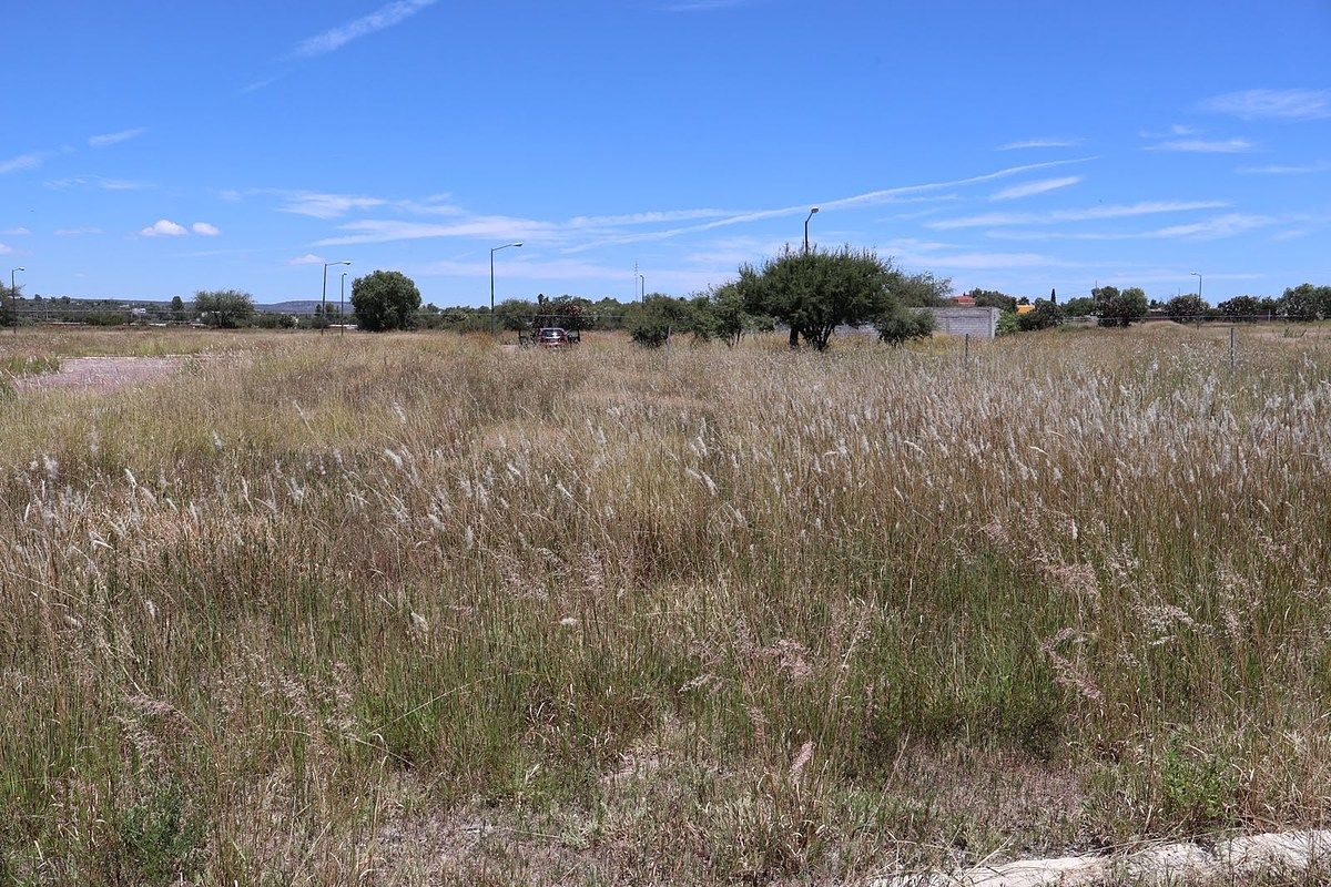 Lot in Cañada de Santas Marías, San Miguel de Allende, photo 6 of 17