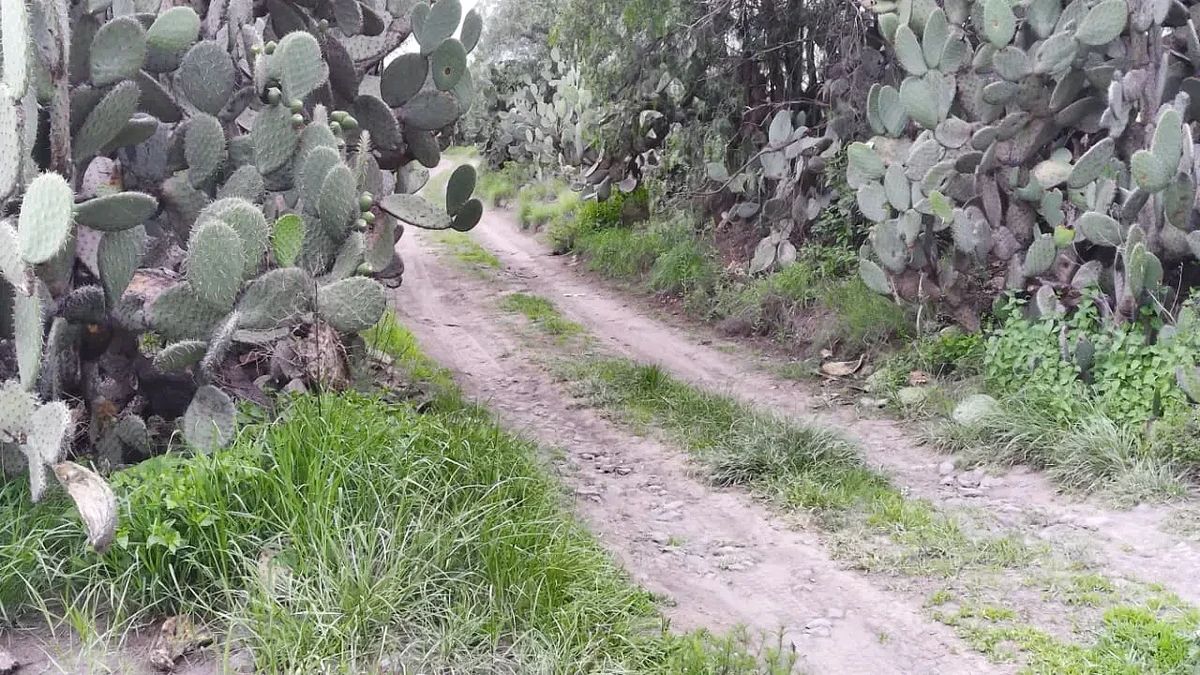 Terreno en Huitzila, Tizayuca, foto 5 de 5
