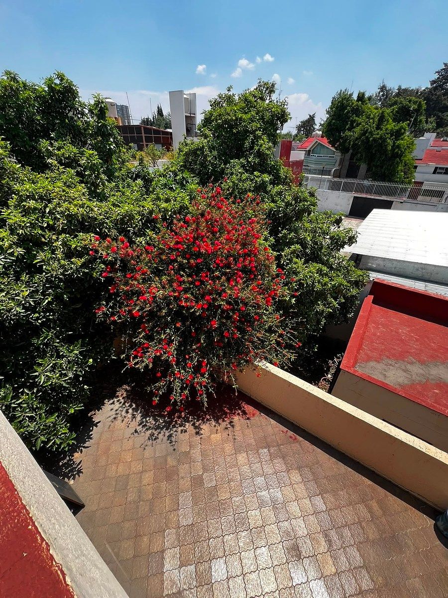 Casa em Jardines de Coyoacán, Coyoacán, foto 5 de 32