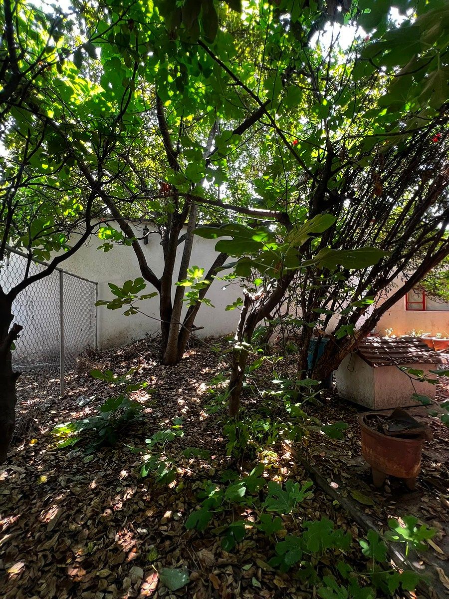 Casa em Jardines de Coyoacán, Coyoacán, foto 27 de 32