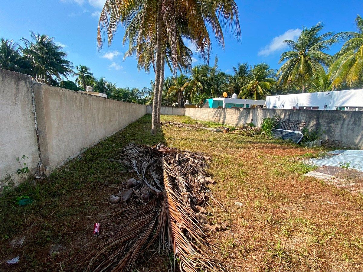 Terreno en Telchac Puerto, Telchac Puerto, foto 7 de 14