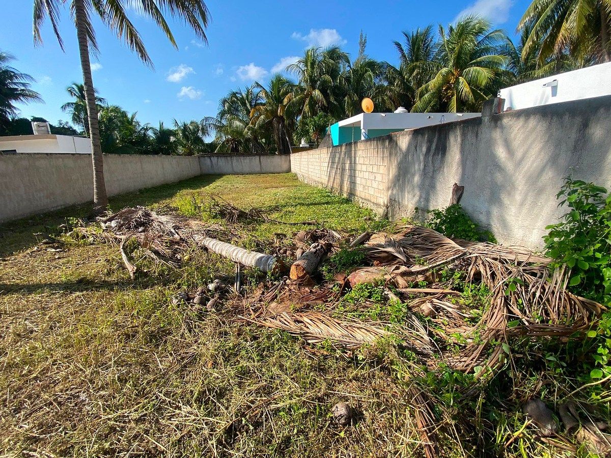 Terreno en Telchac Puerto, Telchac Puerto, foto 8 de 14