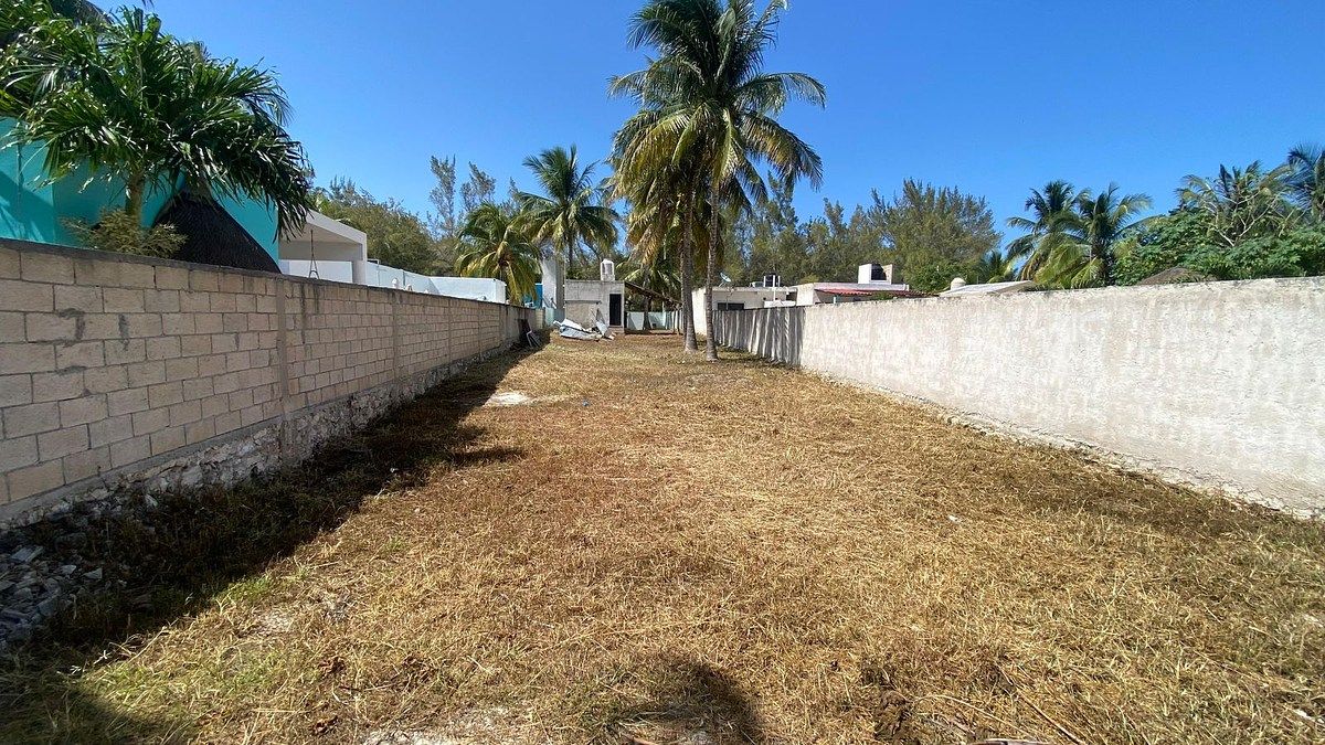 Terreno en Telchac Puerto, Telchac Puerto, foto 10 de 14