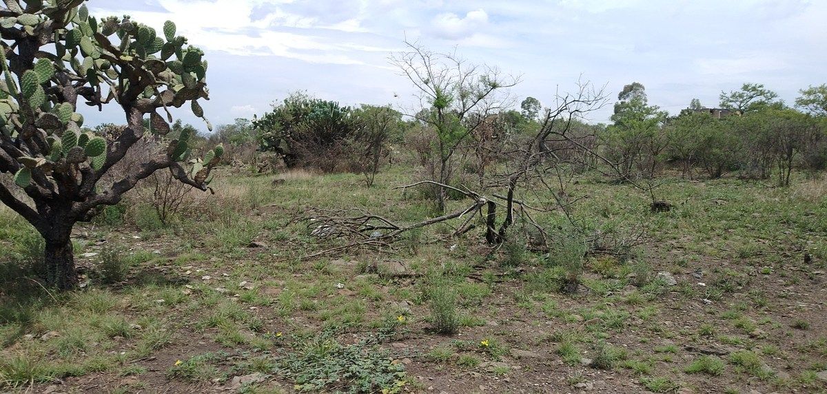 Lot in Amazcala, El Marqués, photo 3 of 6