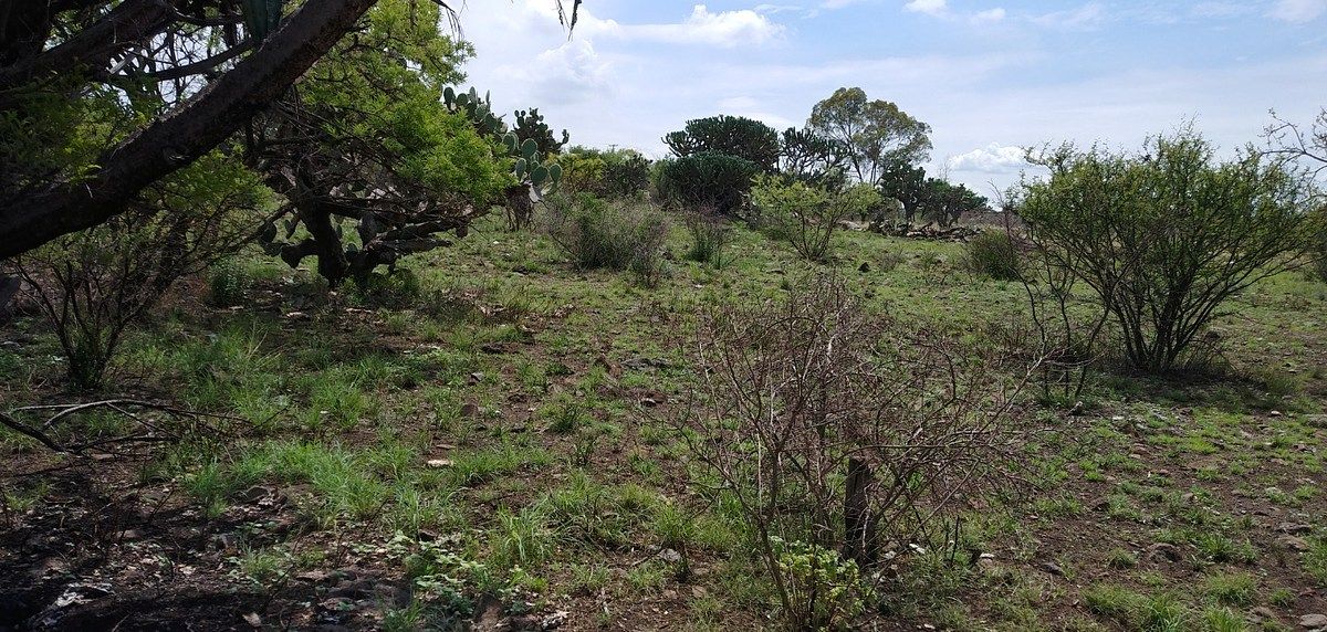 Lot in Amazcala, El Marqués, photo 6 of 6