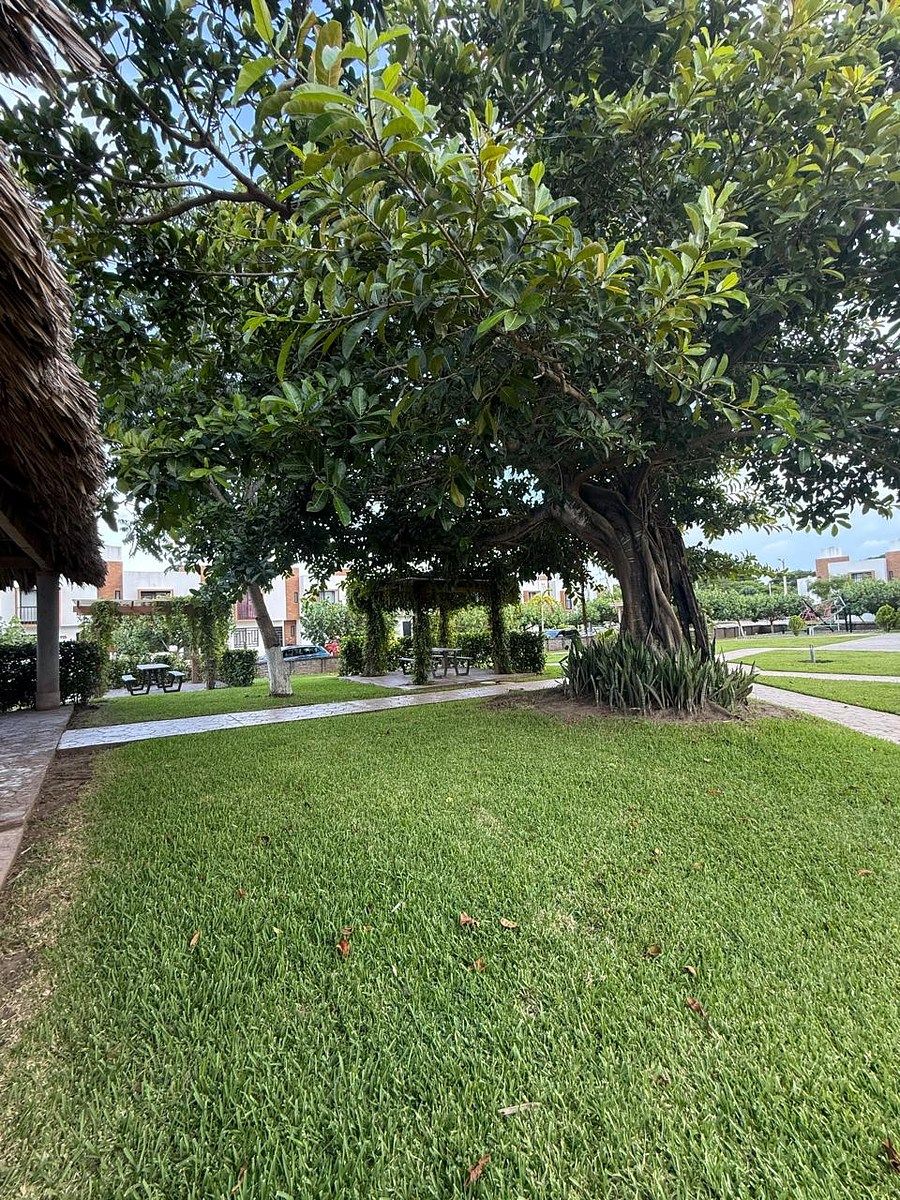 House in Xana, Veracruz, photo 14 of 18