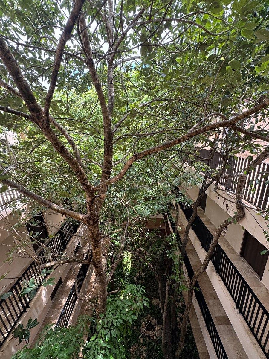 Departamento en La Veleta, Tulum, foto 26 de 42