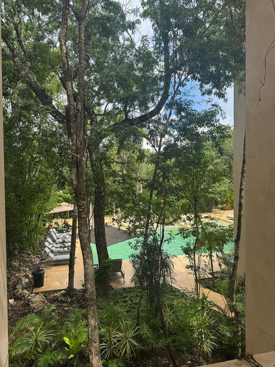 Departamento en La Veleta, Tulum, foto 39 de 42