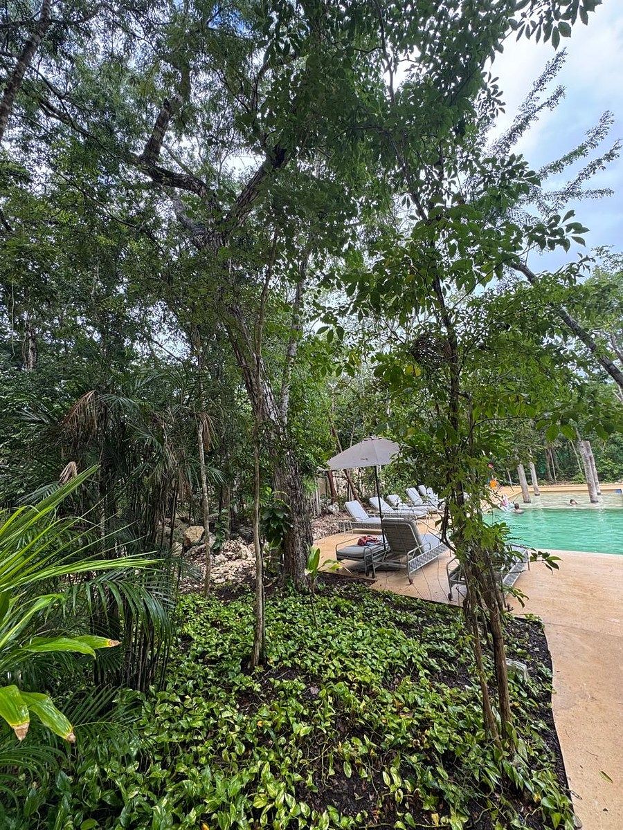 Departamento en La Veleta, Tulum, foto 41 de 42