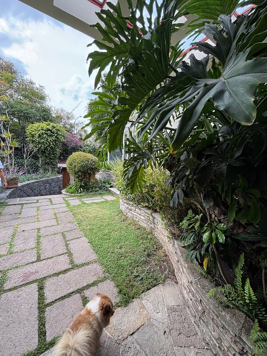 Casa à VENDA / ALUGUEL, foto 1 de 29