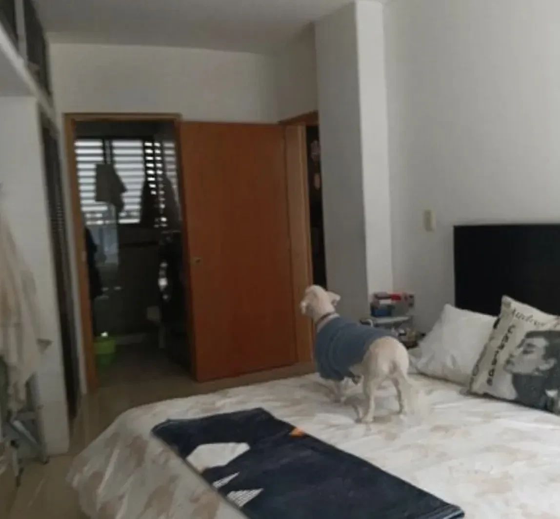 Departamento en Juárez, Cuauhtémoc, foto 7 de 25