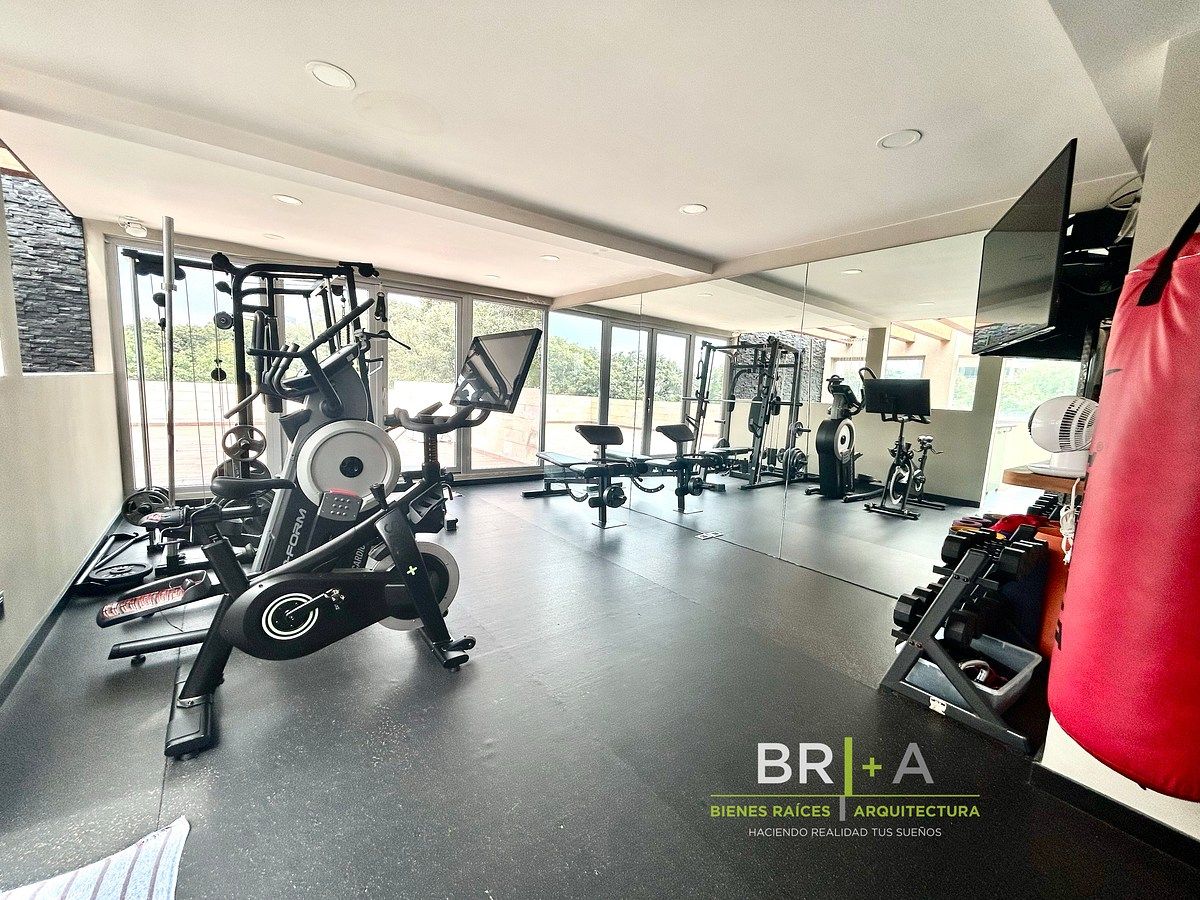 Gimnasio, photo 33 of 37