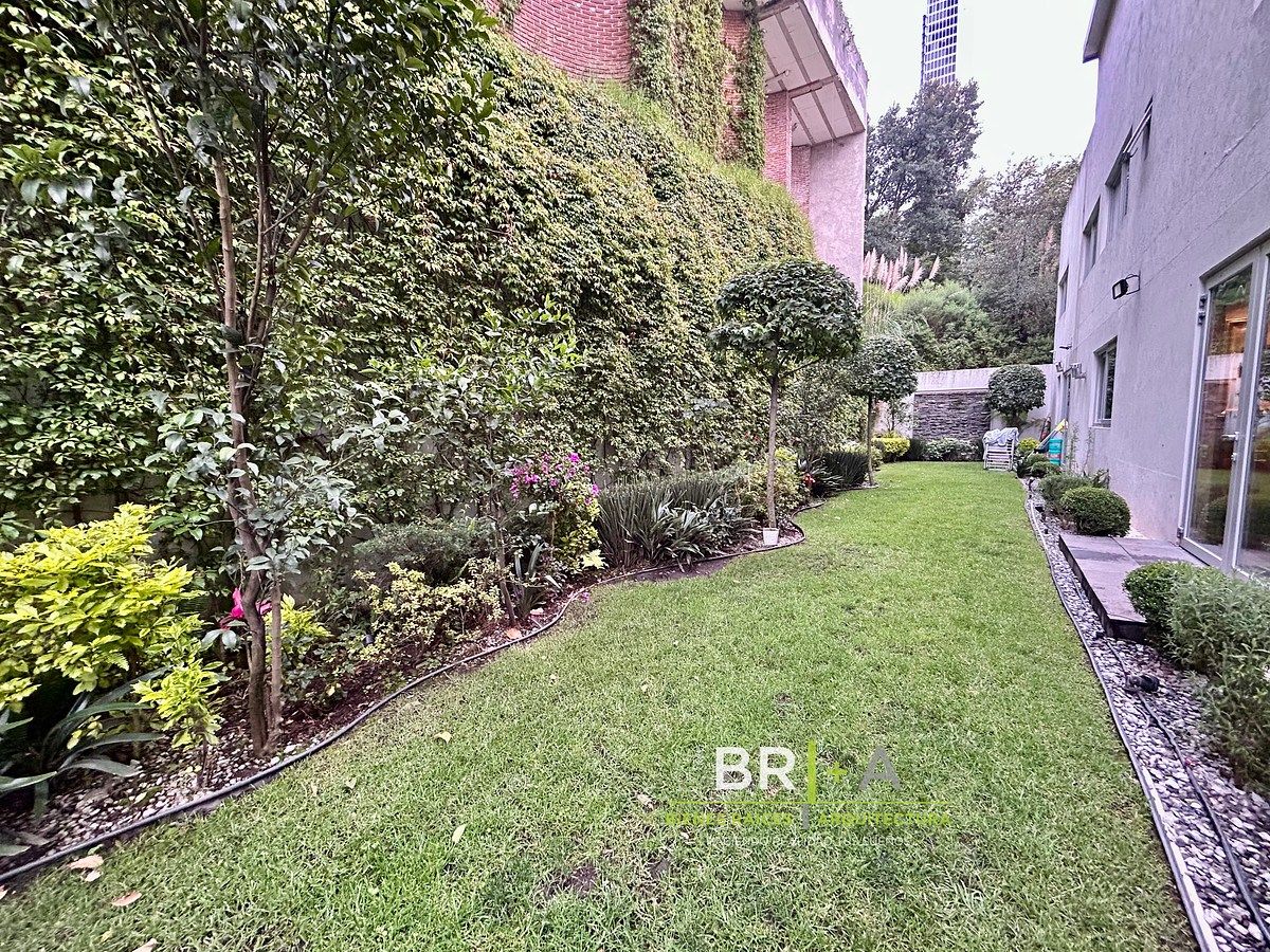 Jardín, photo 35 of 37