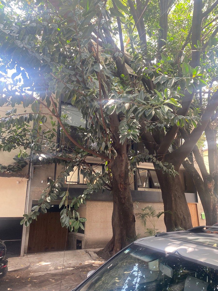 Apartment in Roma Sur, Cuauhtémoc, photo 2 of 18