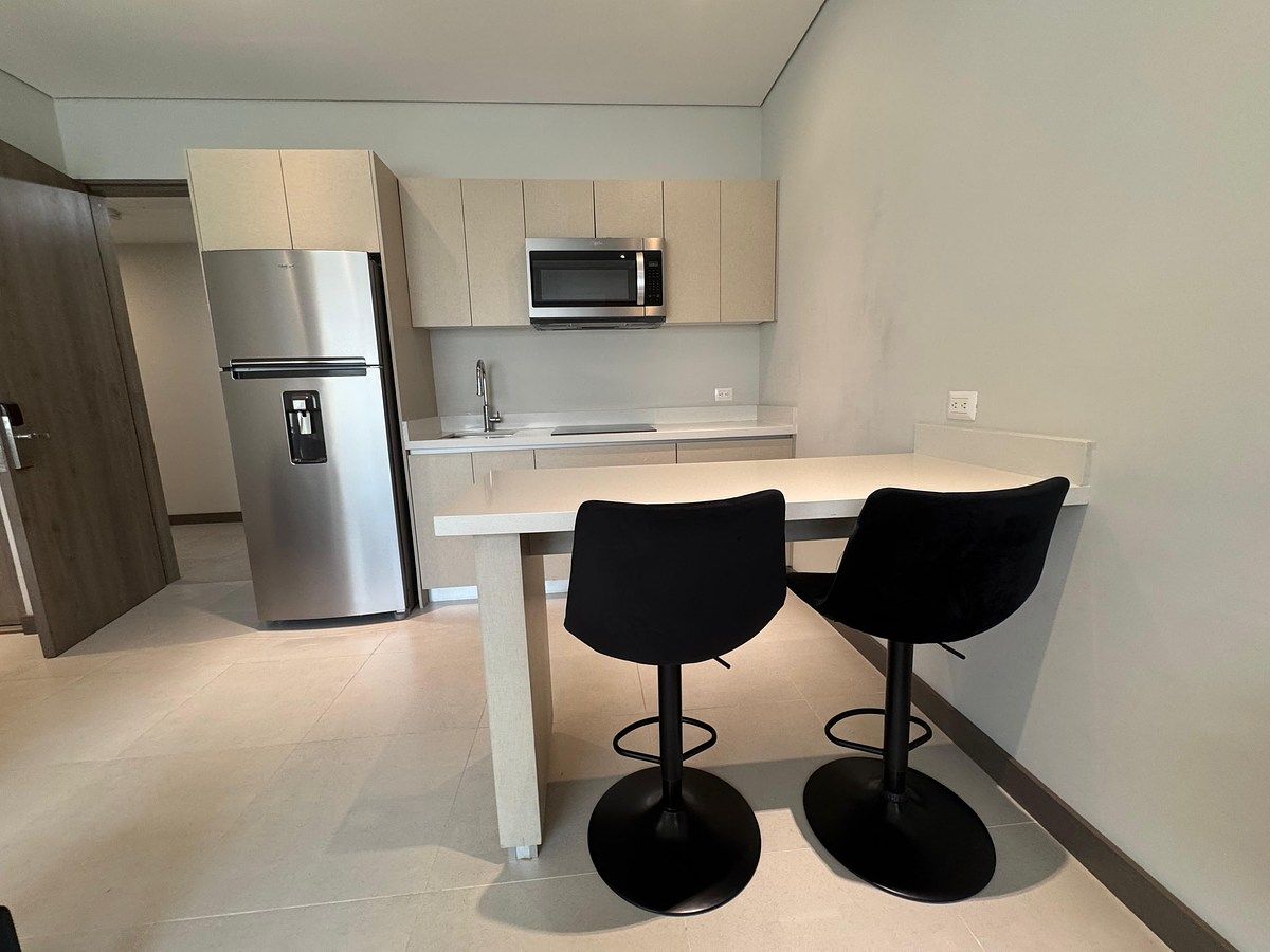 Apartamento em San Pedro Garza Garcia Centro, San Pedro Garza García, foto 4 de 18