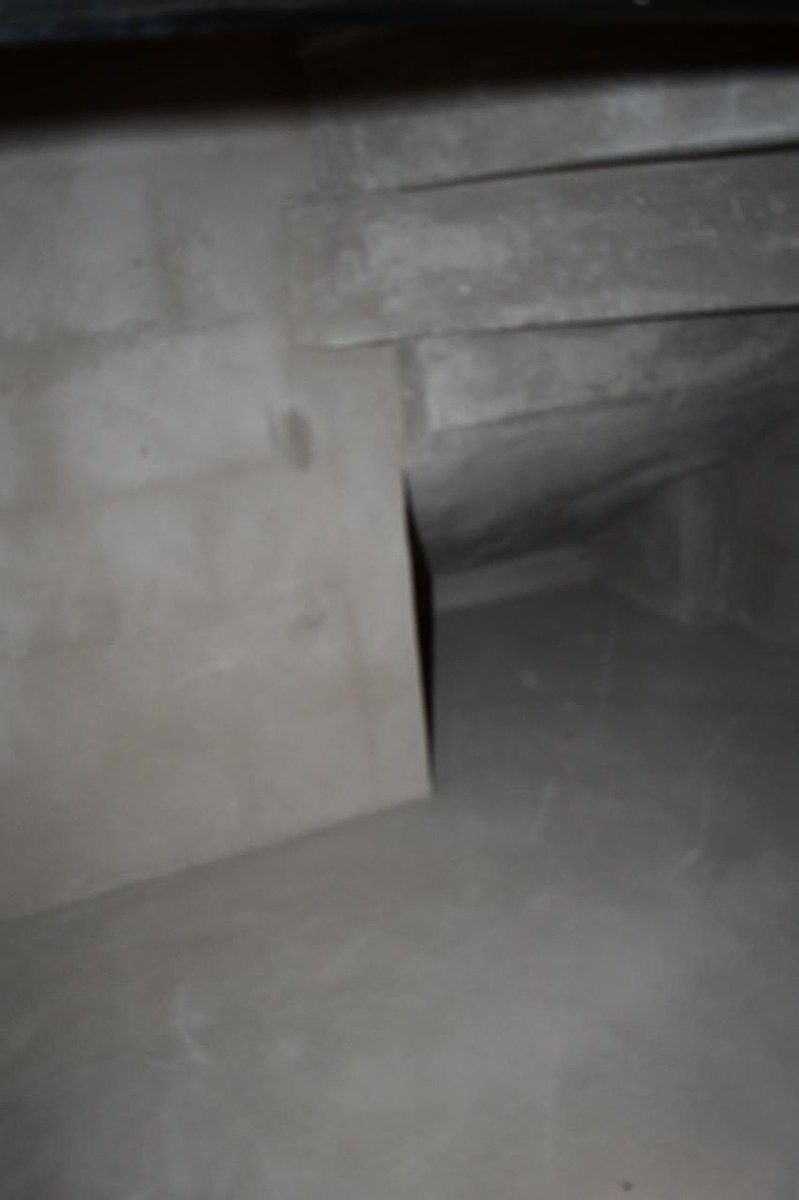 Bodega, photo 11 of 18