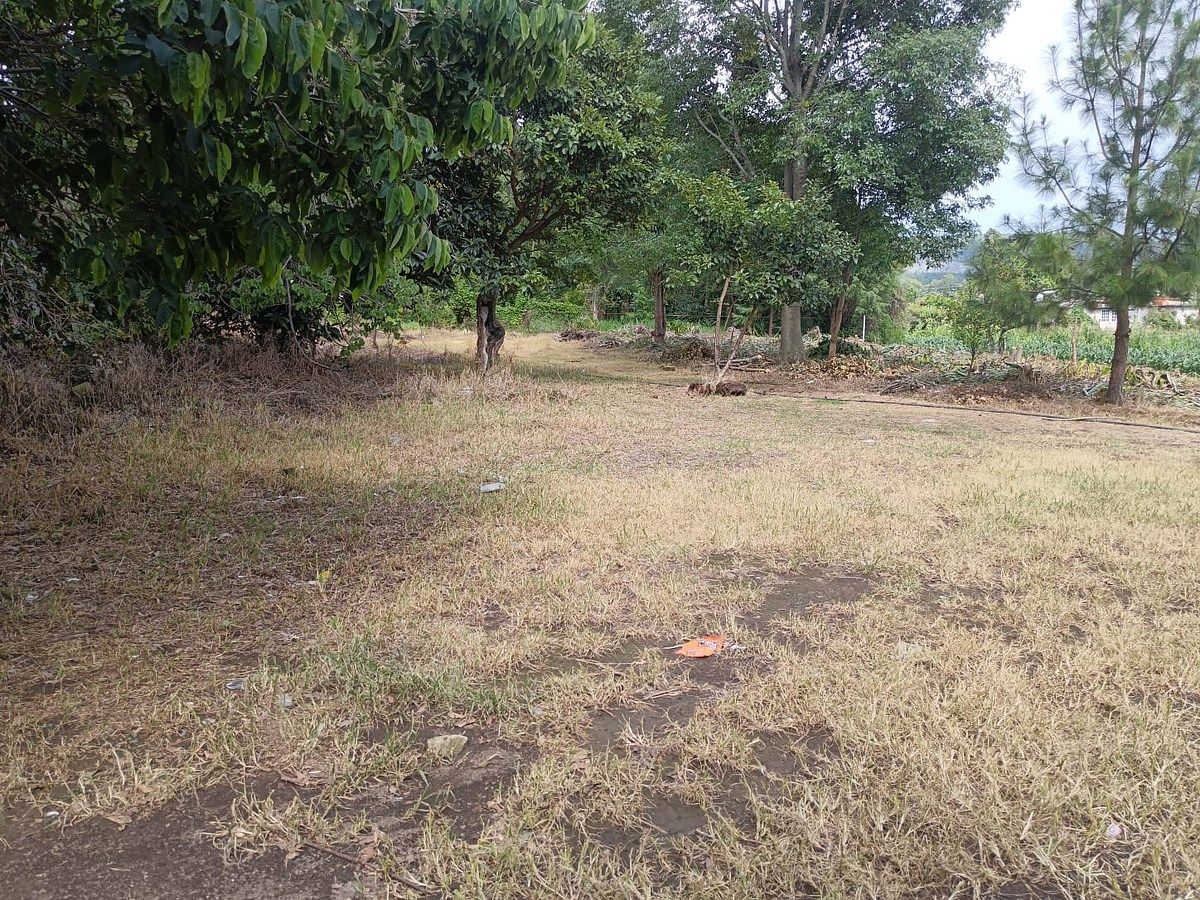 Lote em Pipioltepec, Valle de Bravo, foto 3 de 14