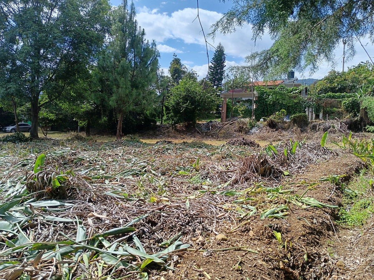 Lote em Pipioltepec, Valle de Bravo, foto 4 de 14