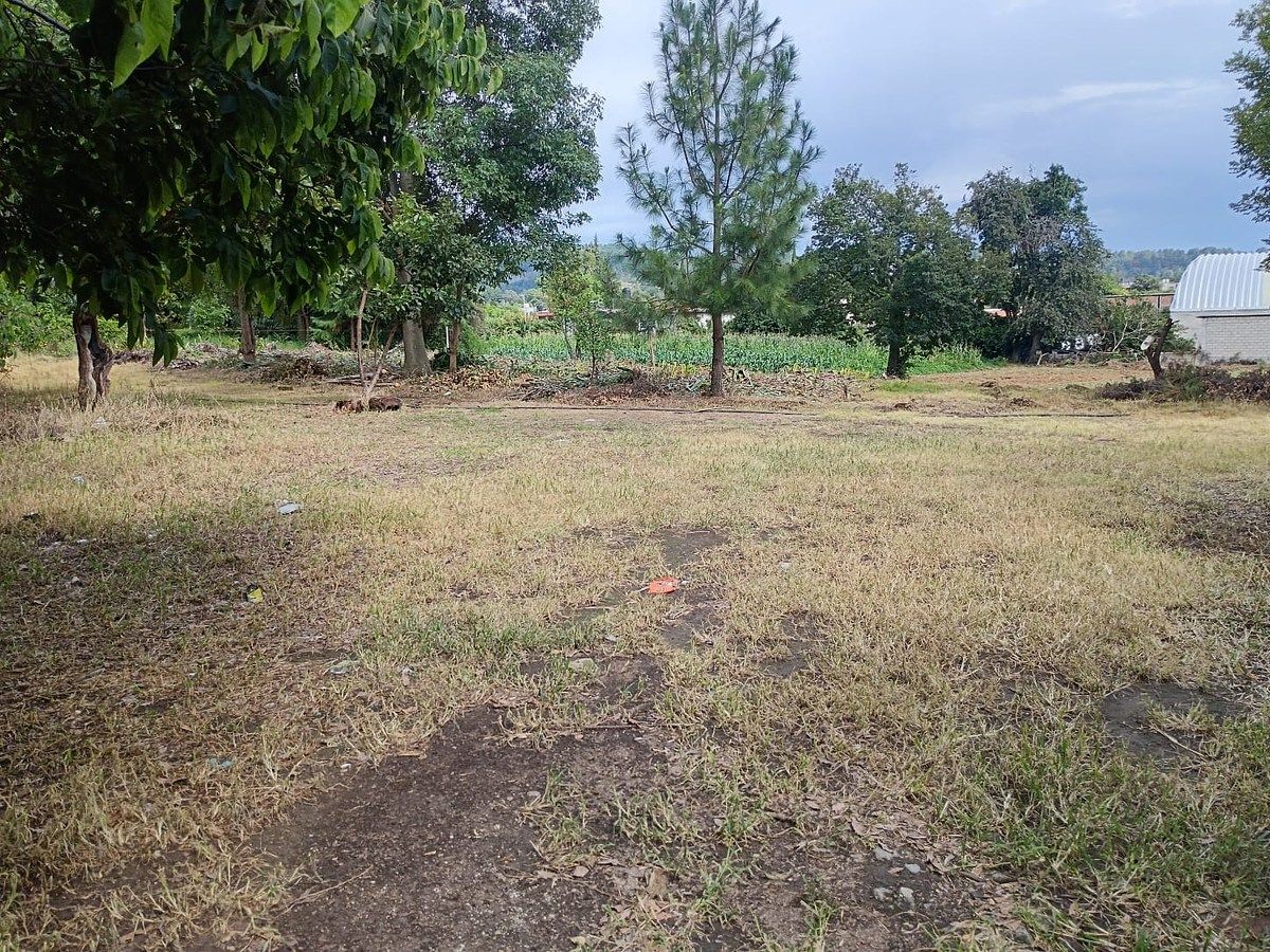 Lote em Pipioltepec, Valle de Bravo, foto 9 de 14