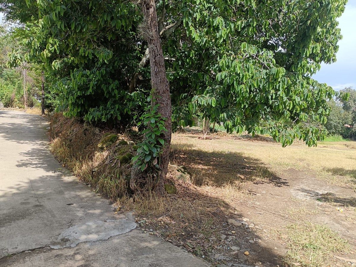 Lote em Pipioltepec, Valle de Bravo, foto 11 de 14
