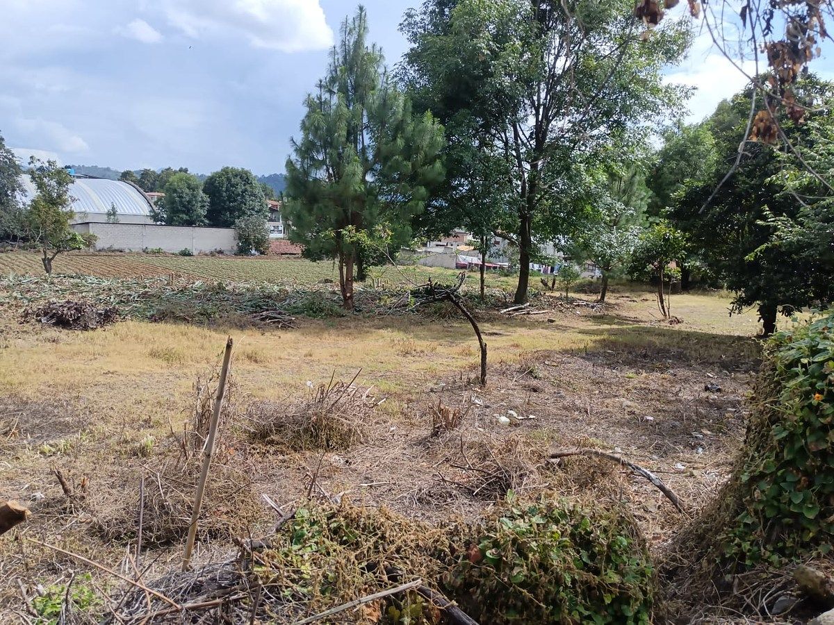 Lote em Pipioltepec, Valle de Bravo, foto 12 de 14