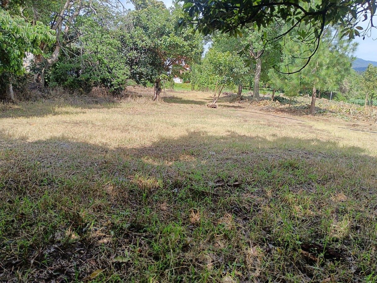 Lote em Pipioltepec, Valle de Bravo, foto 13 de 14