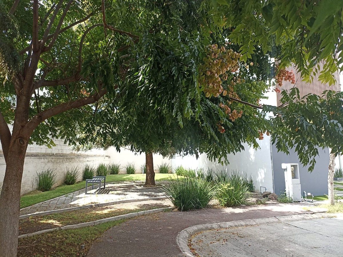 Casa en Granjas Agropecuarias San Miguel, Irapuato, foto 13 de 14