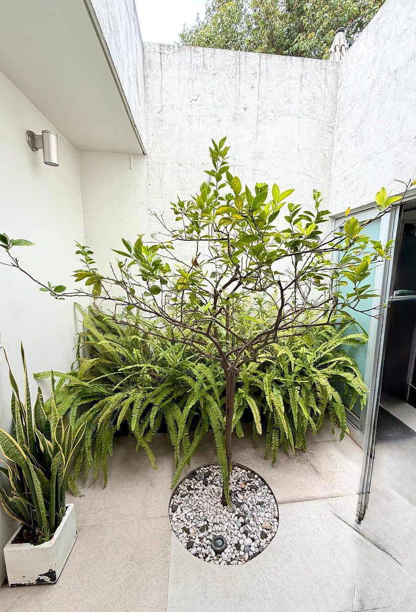 House in Gated Community in Santa Fe La Loma, Álvaro Obregón, photo 17 of 42