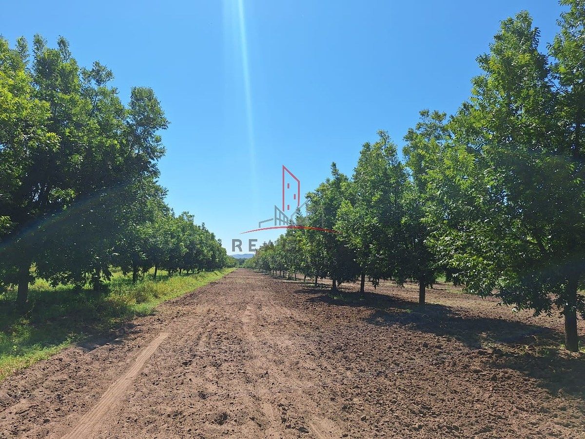 Terreno Rústico à Venda em Orranteño Saucillo Chihuahua 750.000 Clater RGC, foto 1 de 10