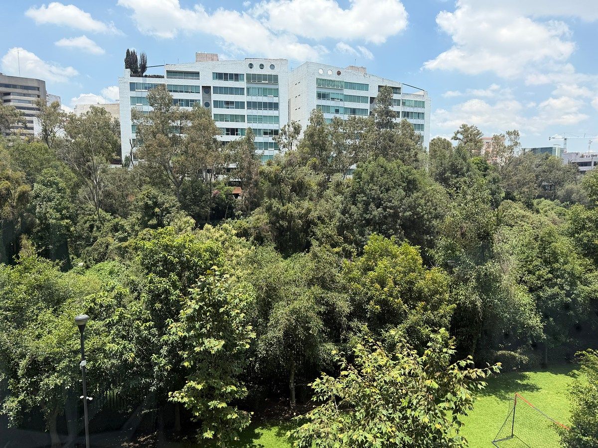 Departamento en Lomas de Chapultepec VIII Sección, Miguel Hidalgo, foto 6 de 49