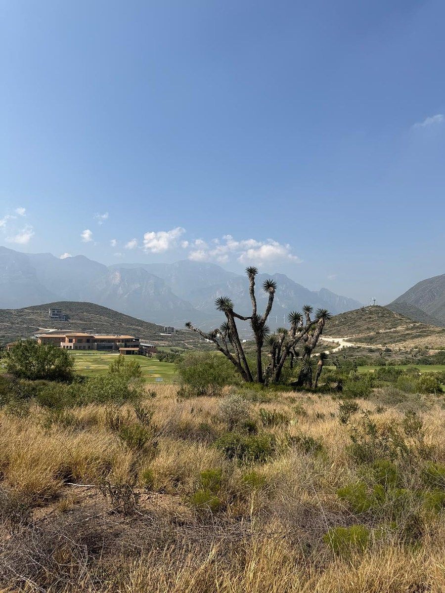 TERRENO EN VENTA EN TERRALTA RESIDENCIAL, foto 1 de 12