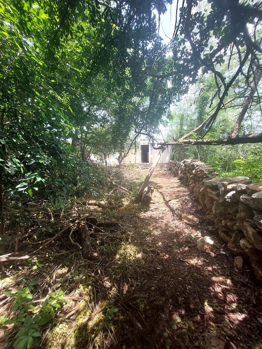 Terreno en San Jose Tecoh, Mérida, foto 3 de 14