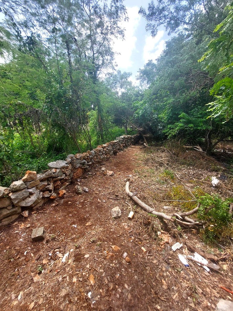 Terreno en San Jose Tecoh, Mérida, foto 4 de 14