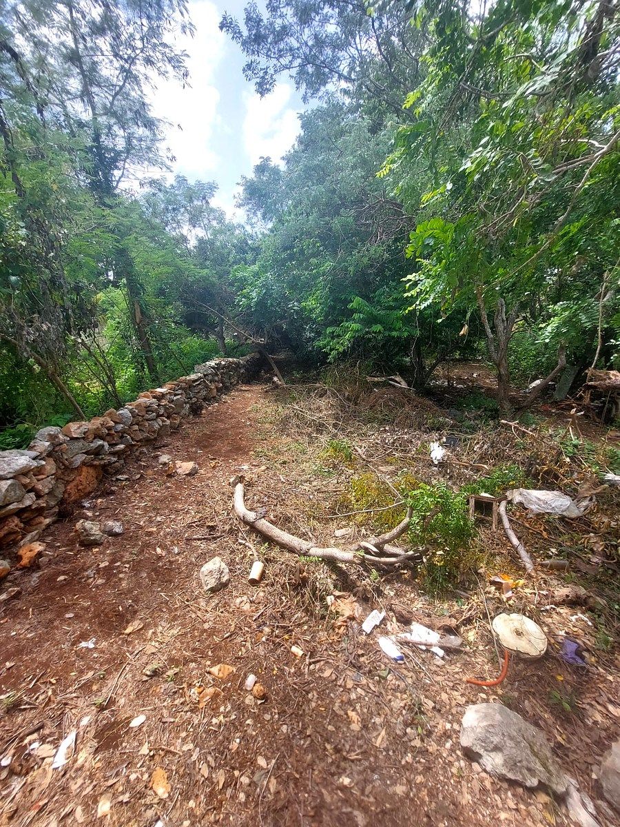 Terreno en San Jose Tecoh, Mérida, foto 6 de 14