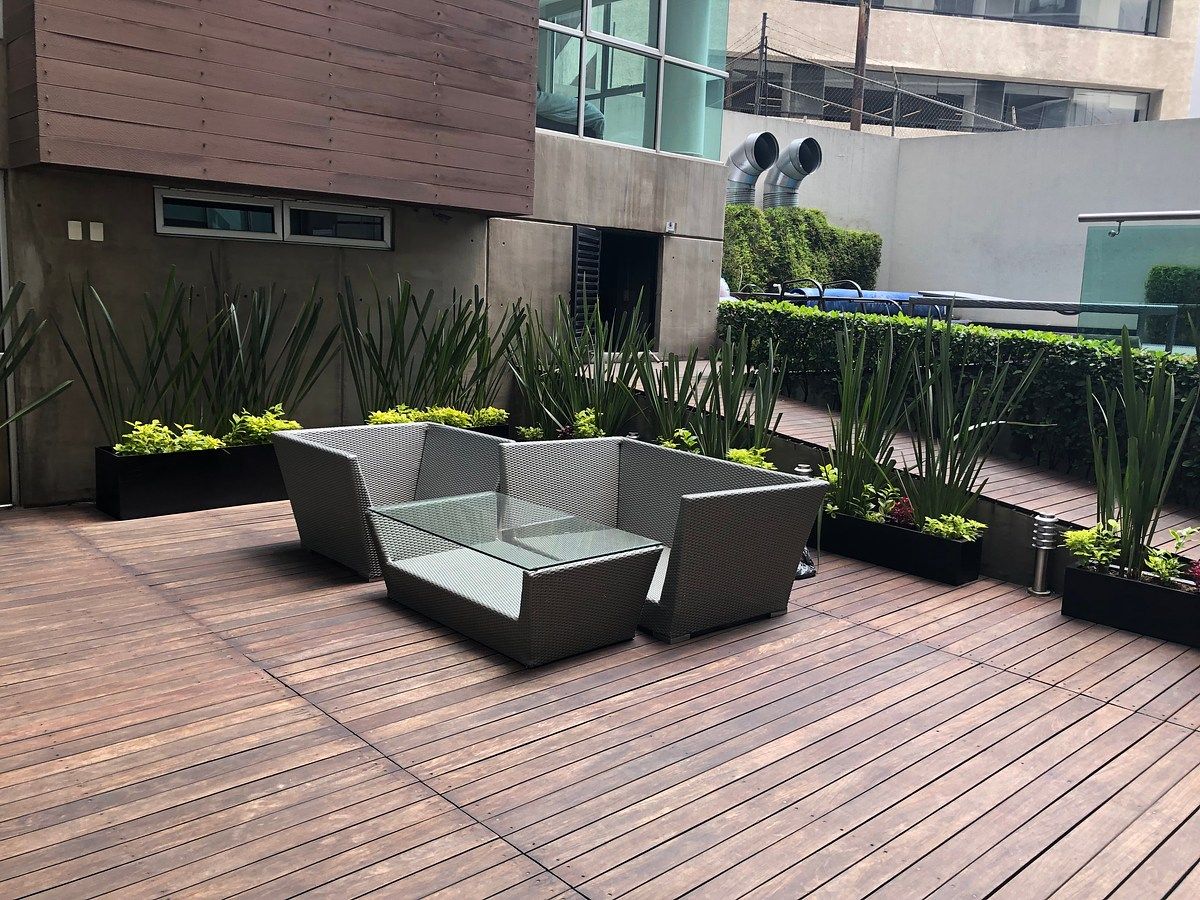 Apartment in Reforma Social, Miguel Hidalgo, photo 4 of 13